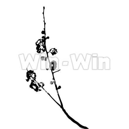 桃の花のシルエット素材 W-025108