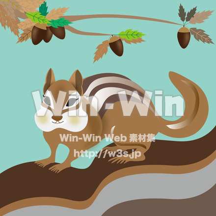 シマリスとドングリのCG・イラスト素材 W-025560