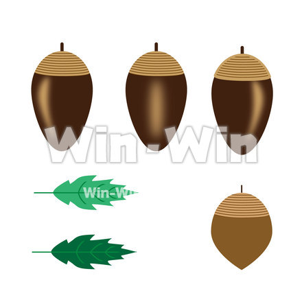 どんぐりのCG・イラスト素材 W-025556