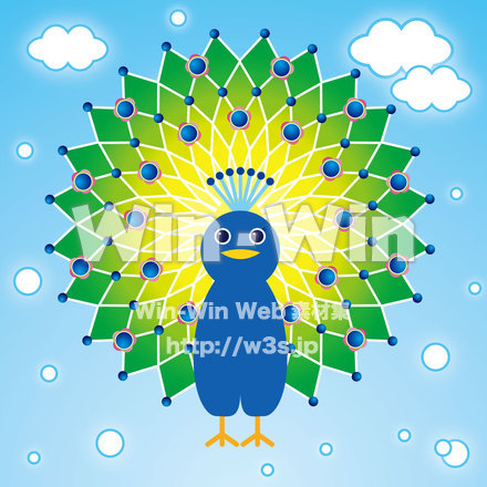 くじゃくのCG・イラスト素材 W-025659