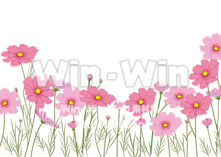 コスモス畑のCG・イラスト素材 W-025407