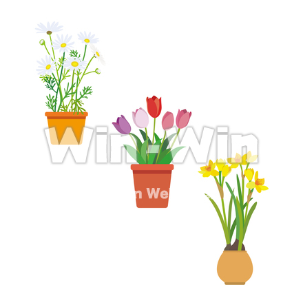 flower1のCG・イラスト素材 W-025218