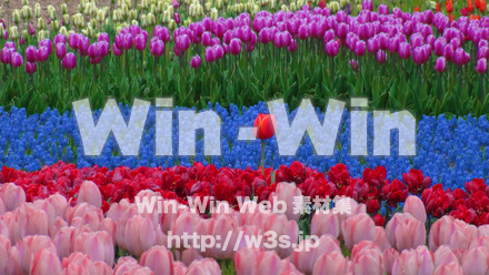 ひとつだけの花の写真素材 W-024133