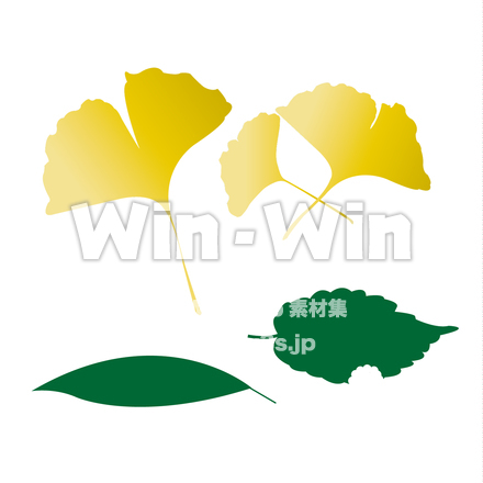 落ち葉のCG・イラスト素材 W-024809