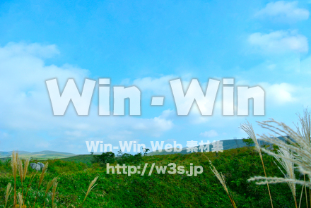 ススキと空の写真素材 W-024097