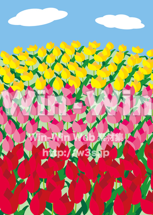 チューリップ畑のCG・イラスト素材 W-025636