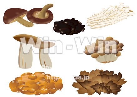 きのこ7種のCG・イラスト素材 W-025678