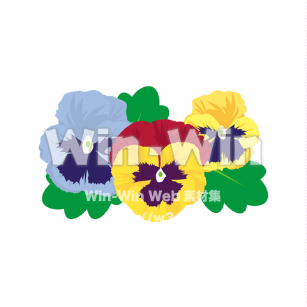 パンジーのCG・イラスト素材 W-024042