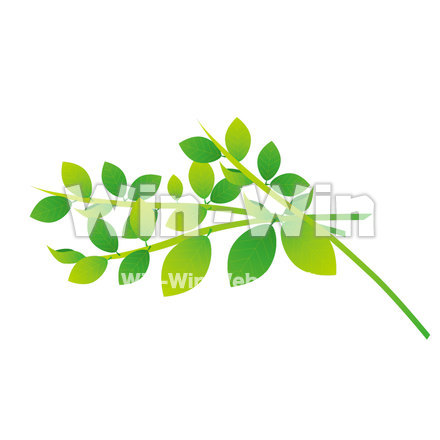 はっぱのCG・イラスト素材 W-025850