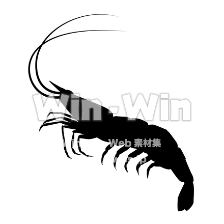 海老シルエットのシルエット素材 W-025617