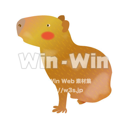 カピバラのCG・イラスト素材 W-025497