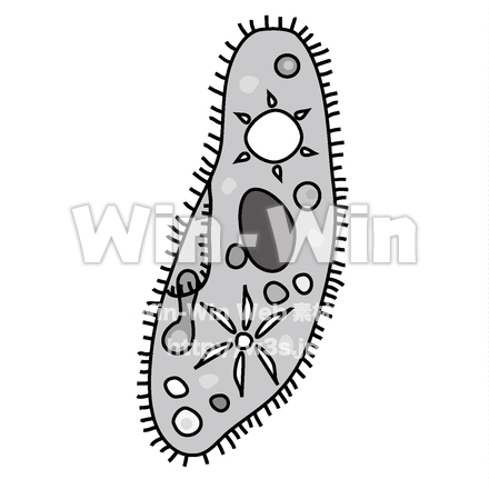 ゾウリムシのシルエット素材 W-024524