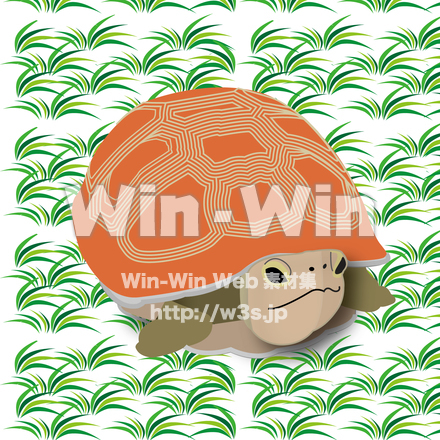 かめのCG・イラスト素材 W-025476