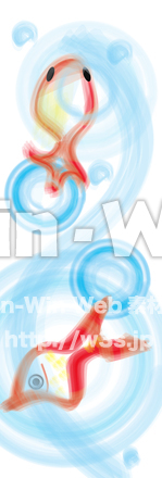 金魚のCG・イラスト素材 W-025414