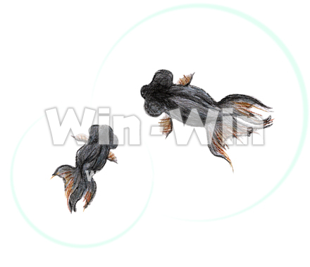 でめきんの写真素材 W-024131