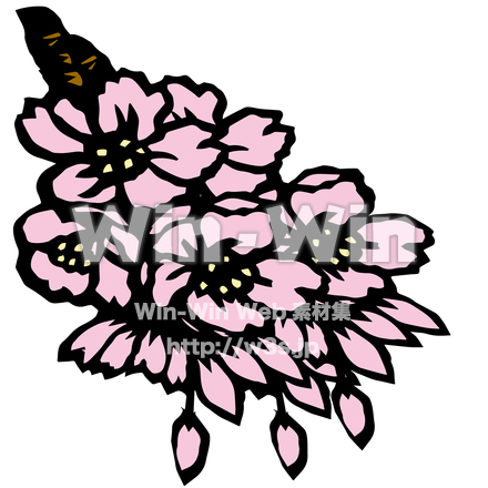 桜のCG・イラスト素材 W-027530