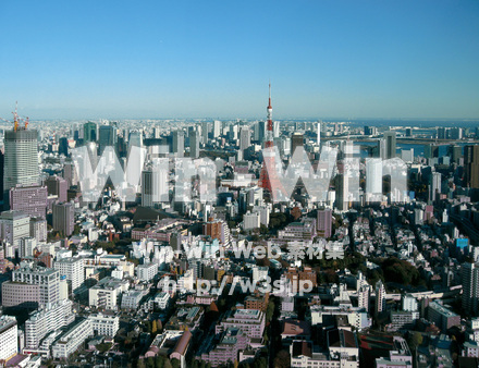 ビル群の写真素材 W-027988