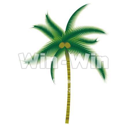 ヤシの木のCG・イラスト素材 W-026030