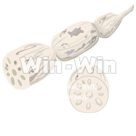 レンコンのCG・イラスト素材 W-026855