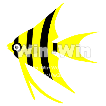 エンゼルフィッシュのCG・イラスト素材 W-027949