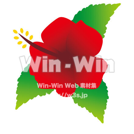 ハイビスカスのCG・イラスト素材 W-026288