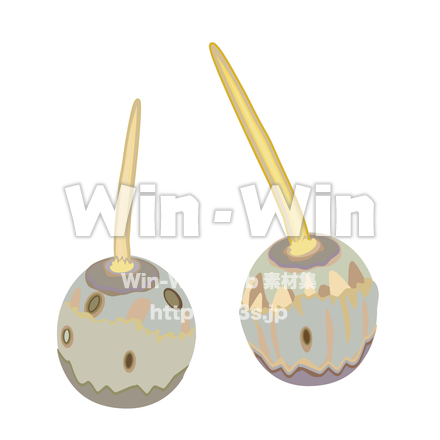 くわいのCG・イラスト素材 W-026730