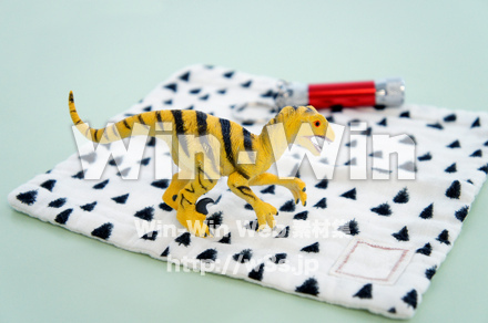 恐竜_右斜の写真素材 W-027665