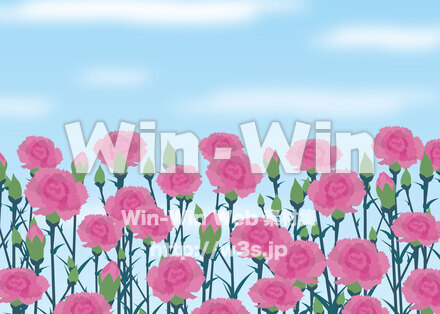 カーネーション畑のCG・イラスト素材 W-026624