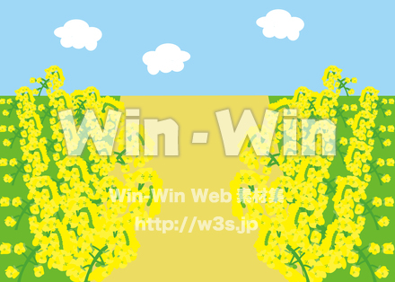 菜の花畑のCG・イラスト素材 W-026897