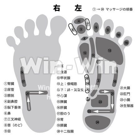 足ツボのシルエット素材 W-026530