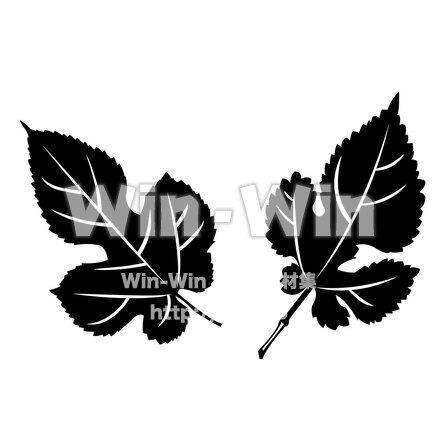 くわの葉2枚のシルエット素材 W-026248