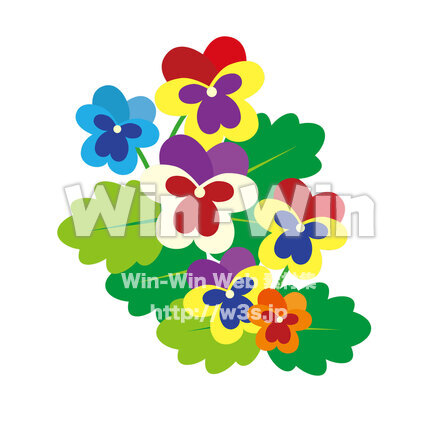 パンジーのCG・イラスト素材 W-026583