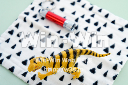 恐竜_天面の写真素材 W-027667