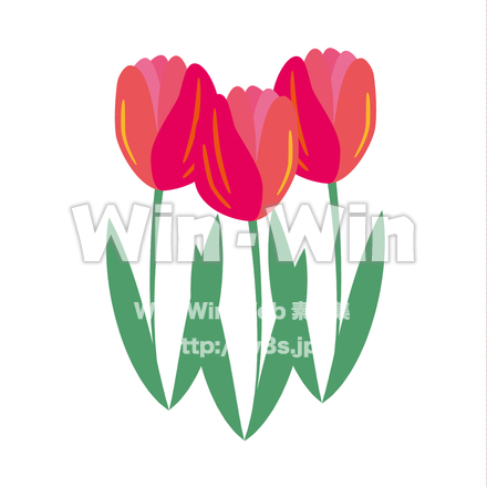チューリップのCG・イラスト素材 W-027717