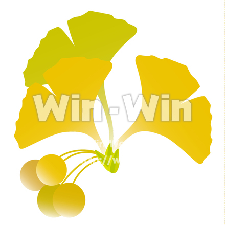 いちょうのCG・イラスト素材 W-027411