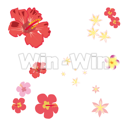 南国の花のCG・イラスト素材 W-026182