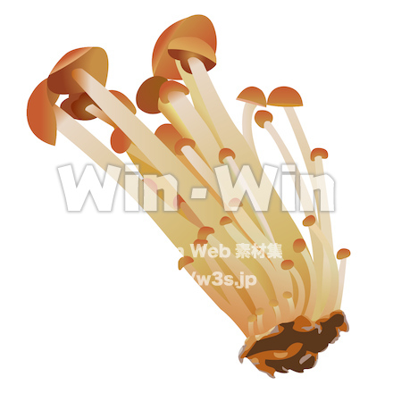 エノキのCG・イラスト素材 W-027925