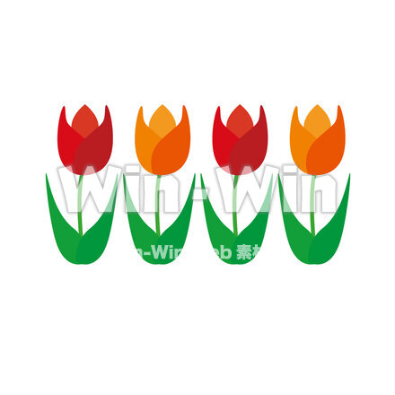 チューリップのCG・イラスト素材 W-026578