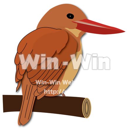 アカショウビンのCG・イラスト素材 W-027403