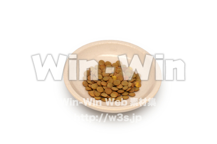 緑レンズ豆の写真素材 W-027574