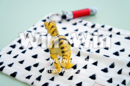 恐竜_裏面の写真素材 W-027664