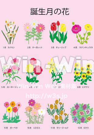 誕生月の花のCG・イラスト素材 W-029246