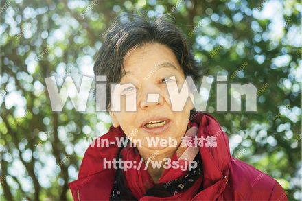 亡くなった母の写真の写真素材 W-029914