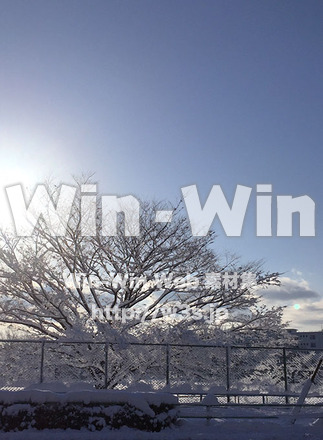 雪のあと晴れた朝の写真素材 W-028897