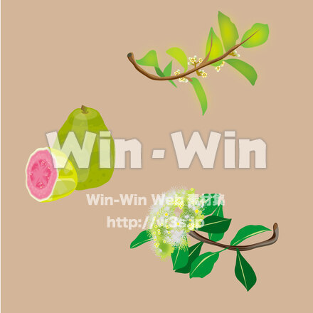 薬用植物3種のCG・イラスト素材 W-028668