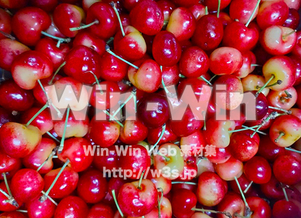 サクランボの写真素材 W-029119