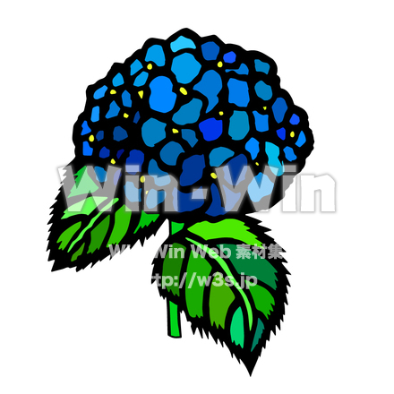 紫陽花青のCG・イラスト素材 W-028938