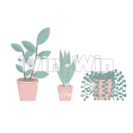 観葉植物のイラストのCG・イラスト素材 W-029944