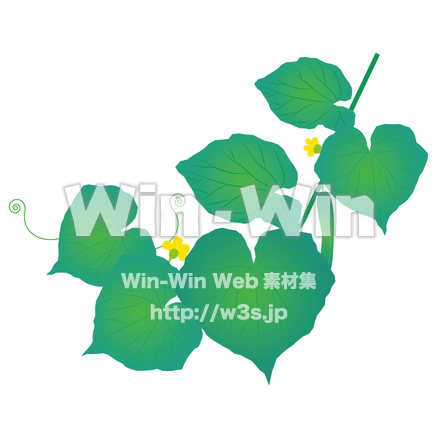 きゅうりのCG・イラスト素材 W-028244