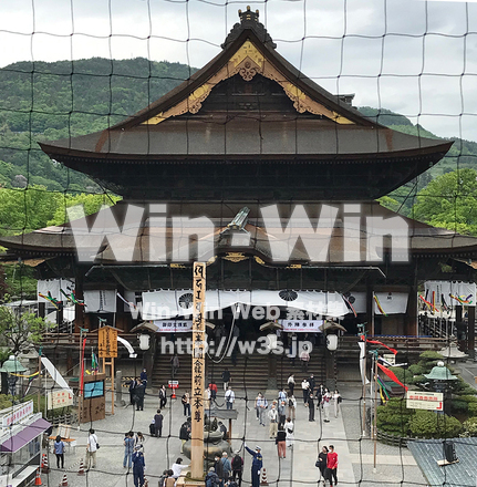 ご開帳の善光寺の写真素材 W-028859